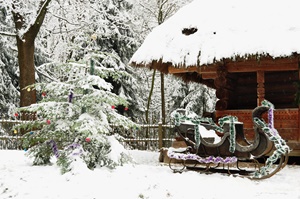 Santa's Sleigh Winter