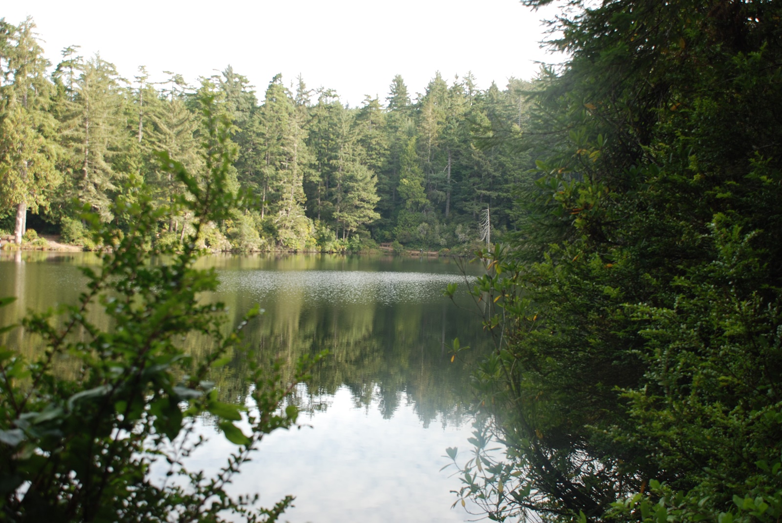 LakeMarie